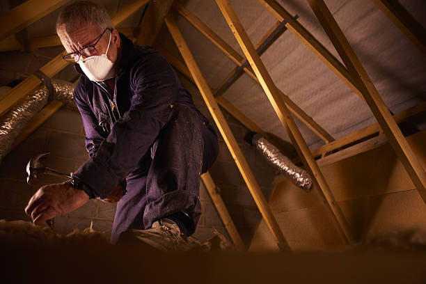 Types of Insulation We Offer in Foster Brook, PA